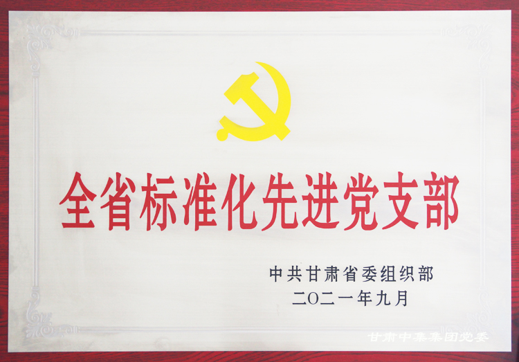 中集理想國際寫字樓聯(lián)合黨支部榮獲“全省標(biāo)準(zhǔn)化先進(jìn)黨支部”榮譽稱號